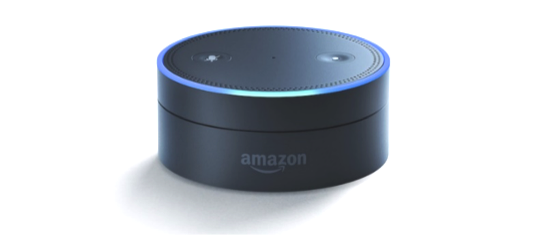 Amazon Echo Dot